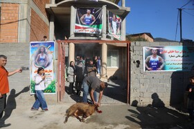 مراسم استقبال از سینا خلیلی نایب قهرمان کشتی آزاد امیدهای جهان