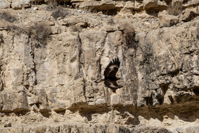 پارک ملی تندوره - خراسان رضوی