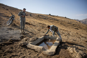 محیط بانان پارک ملی تندوره - خراسان رضوی