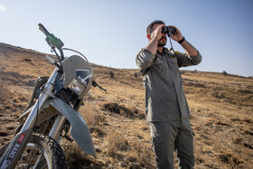 قصه فداکاری محیطبانان در محافظت از طبیعت و حیات وحش