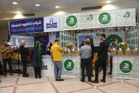 جشنواره پسته _ دامغان