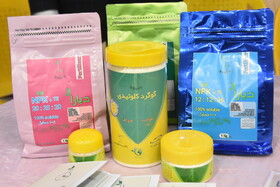 جشنواره پسته _ دامغان