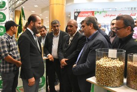 جشنواره پسته _ دامغان