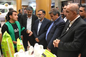 جشنواره پسته _ دامغان