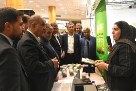 جشنواره پسته _ دامغان