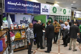 جشنواره پسته _ دامغان