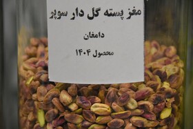 جشنواره پسته _ دامغان