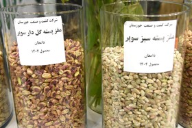 جشنواره پسته _ دامغان