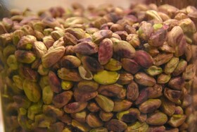 جشنواره پسته _ دامغان