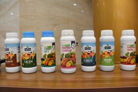 جشنواره پسته _ دامغان