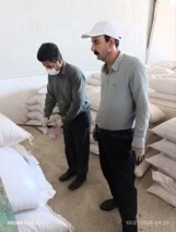 آغاز عملیات نمونهبرداری از بذور گندم و جو در ایستگاه تحقیقاتی مهران