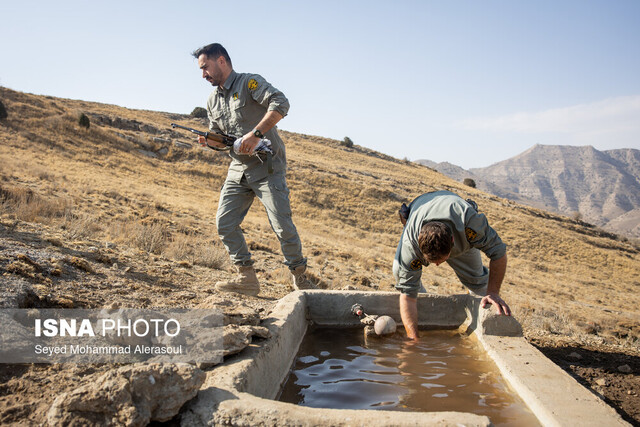 قصه فداکاری محیطبانان در محافظت از طبیعت و حیات وحش