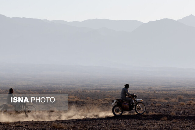 از گور برخاسته؛ نجات گورخر ایرانی در کویر سوزان