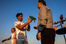 هفته پانزدهم لیگ ملی چوگان ایران