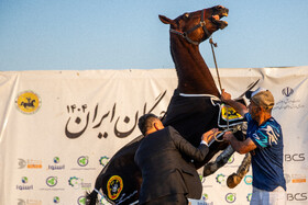 هفته پانزدهم لیگ ملی چوگان ایران