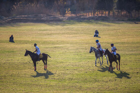هفته پانزدهم لیگ ملی چوگان ایران