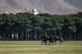 هفته پانزدهم لیگ ملی چوگان ایران