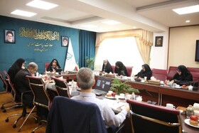 امنیت فضاهای شهری و عمومی پیششرط حضور زنان در عرصههای اقتصادی و اجتماعی