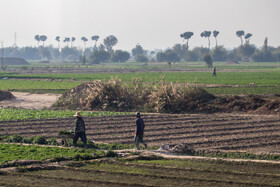 در حاشیه بازدید از خطوط راه آهن حومهای استان تهران با حضور رئيس جمهور