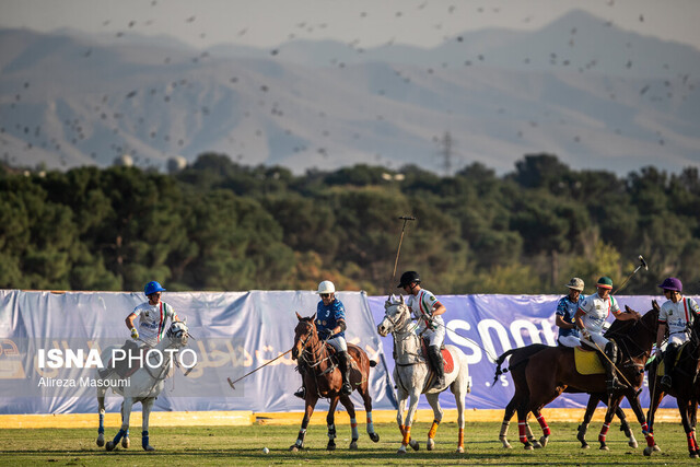 پیروزی قزوین در هفته بیستم لیگ ملی چوگان