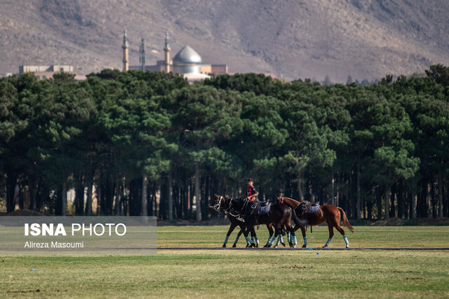 تمرکز بر احیای میراث چوگان و توسعه زیرساخت‌ها/ فرصت ورود مجموعه‌های بزرگ به رشته تاریخی