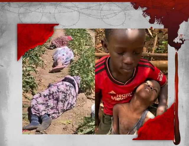 الفاشر صحنه فاجعه‌بارترین صفحات تاریخ سودان است؛ جامعه بین‌الملل سکوت خود را بشکند