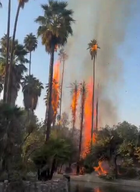 ماجرای آتشسوزی در باغ گردشگری چشمه بلقیس چرام ماجرای آتشسوزی در باغ گردشگری چشمه بلقیس چرام