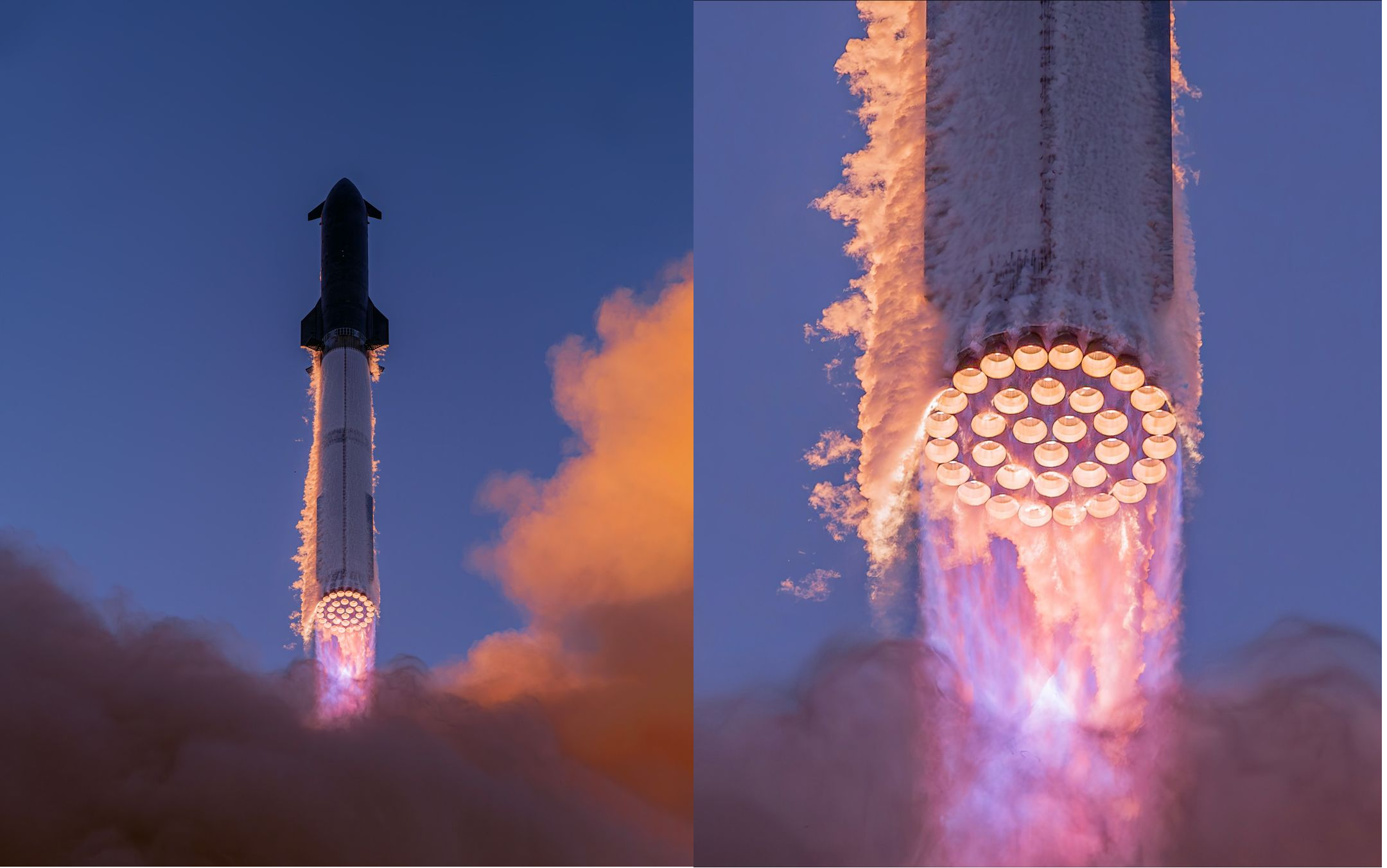 نگاهی به برترین تصاویر علمی این ماه از نگاه مجله نیچر