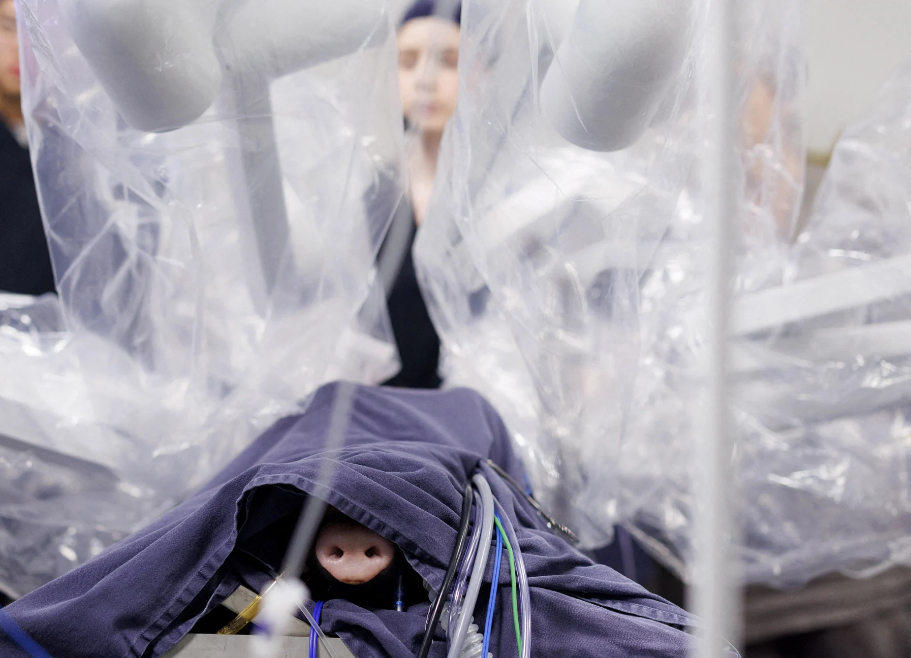 نگاهی به برترین تصاویر علمی این ماه از نگاه مجله نیچر