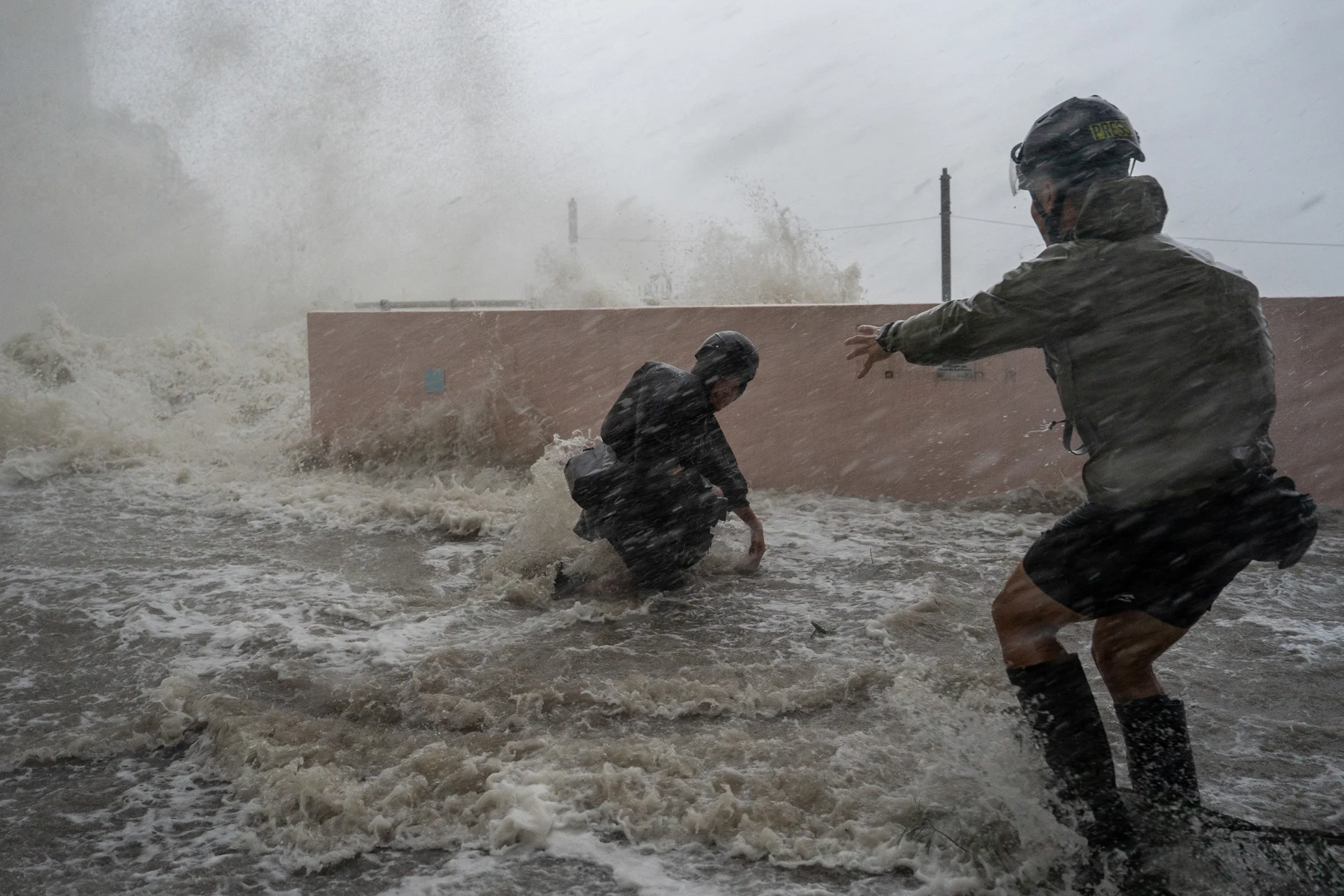 نگاهی به برترین تصاویر علمی این ماه از نگاه مجله نیچر