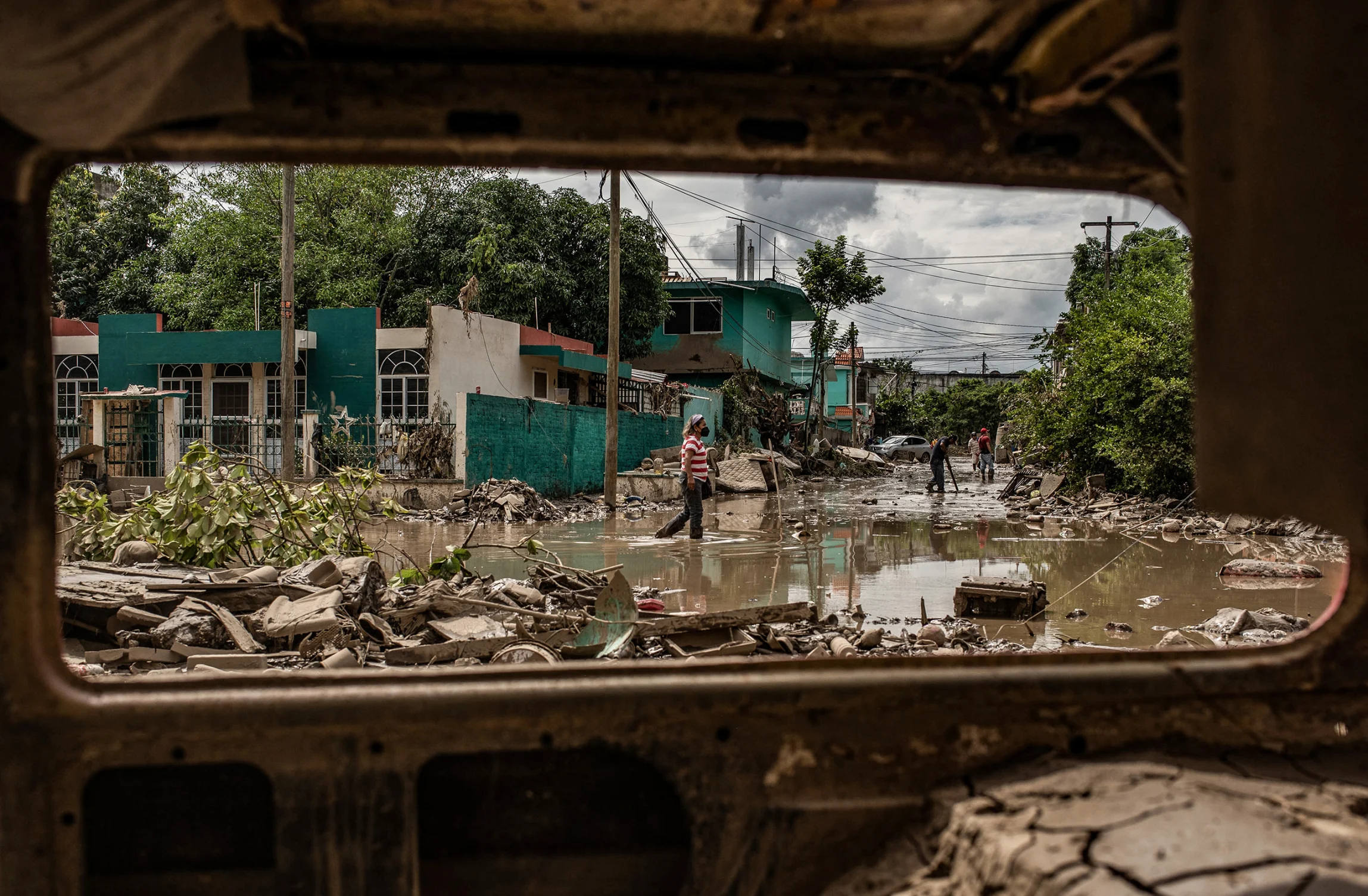 نگاهی به برترین تصاویر علمی این ماه از نگاه مجله نیچر