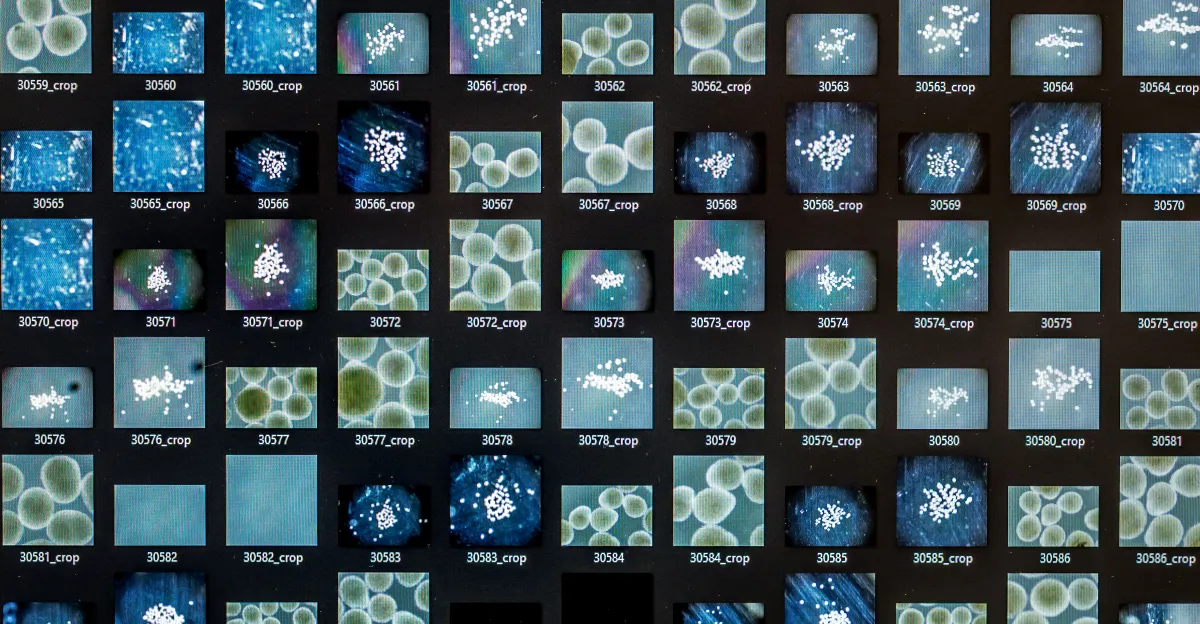 نگاهی به برترین تصاویر علمی این ماه از نگاه مجله نیچر