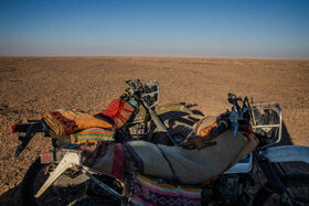 پارک ملی کویر؛ امید گور ایرانی