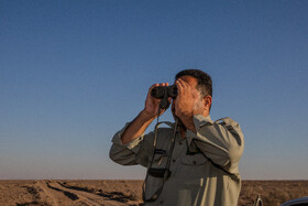 پارک ملی کویر؛ امید گور ایرانی