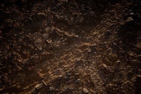 پارک ملی کویر؛ امید گور ایرانی