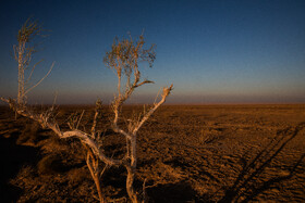 پارک ملی کویر؛ امید گور ایرانی