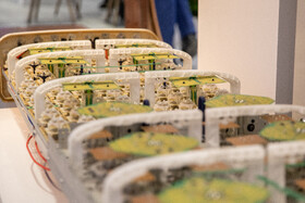 نمایشگاه دستاوردهای شاخص علمی و فناورانه جهاددانشگاهی