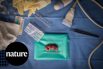 نگاهی به برترین تصاویر علمی این ماه از نگاه مجله نیچر