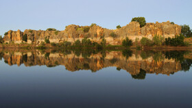 المپیک ۲۰۳۲ در قلمرو کروکودیل‌ها!