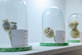 نمایشگاه دستاوردهای شاخص علمی و فناورانه جهاددانشگاهی