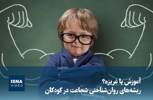 ویدیو/ آموزش یا غریزه؟ ریشه‌های روان‌شناختی شجاعت در کودکان