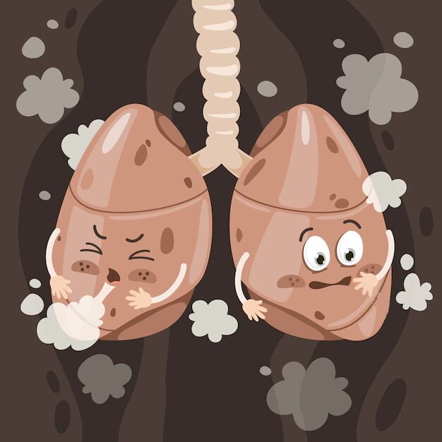 ریههایتان را با این خوردنیها تمیز کنید! ریههایتان را با این خوردنیها تمیز کنید!