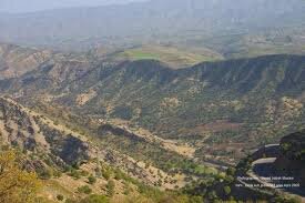 مدیرکل محیط زیست استان ایلام: «دینارکوه»؛ پناهگاه حیاتوحش و گونههای نادر گیاهی است