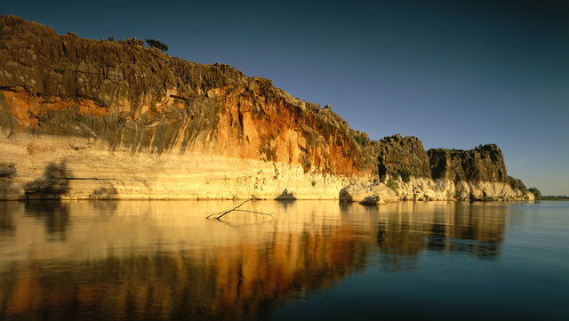 المپیک ۲۰۳۲ در قلمرو کروکودیلها!
