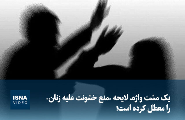 ویدیو/ لایحه «منع خشونت علیه زنان» چرا معطل مانده است؟ ویدیو/ لایحه «منع خشونت علیه زنان» چرا معطل مانده است؟