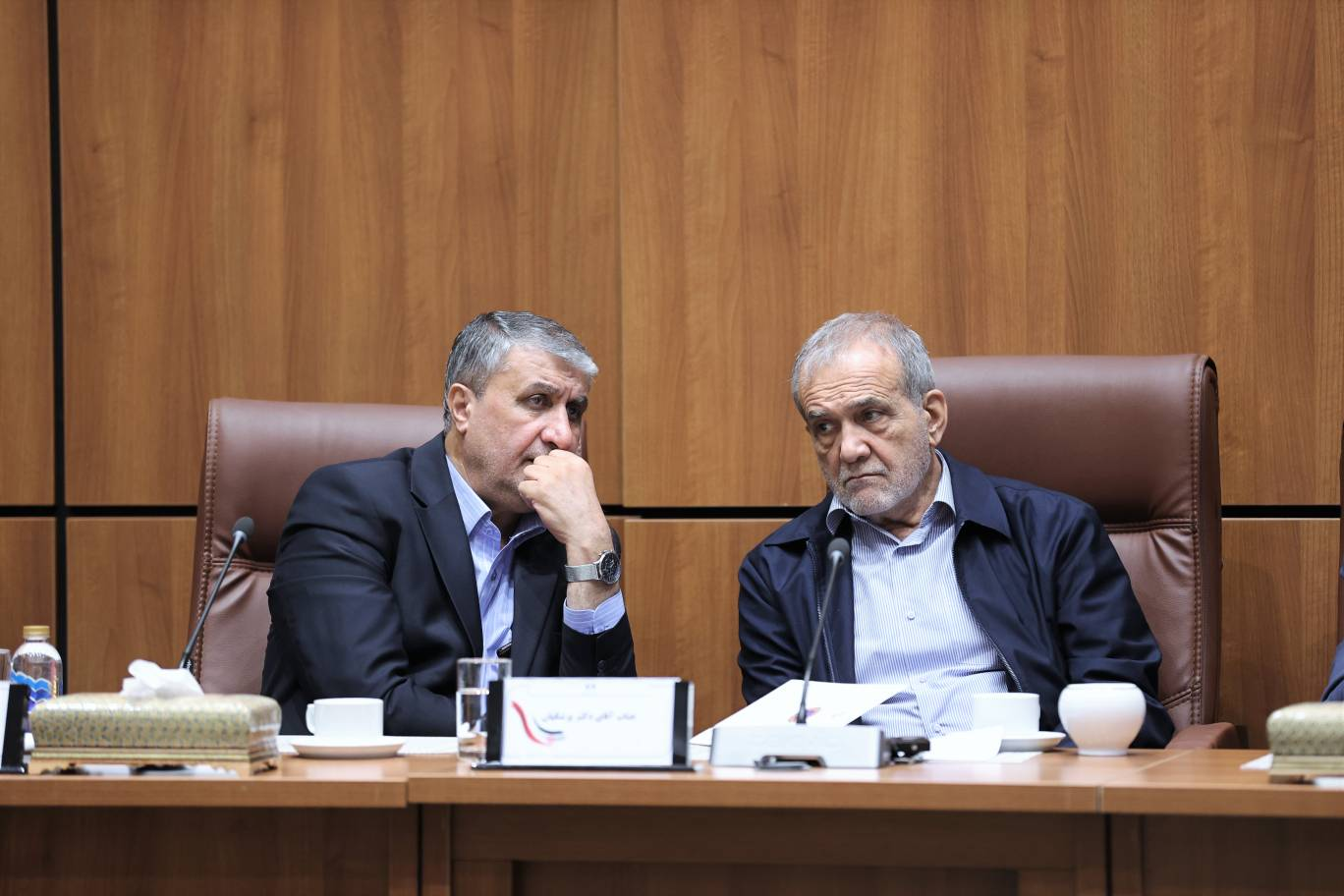 اسلامی: انرژی هستهای در اصل انرژی زندگیبخش است