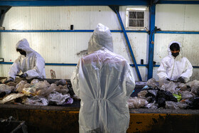 واحد تولید کمپوست شهرداری یزد
