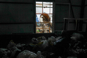 واحد تولید کمپوست شهرداری یزد
