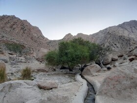 رئیس میراث فرهنگی شهرستان: زیرساخت‌های گردشگری در تفرجگاه تنگ‌کتویه داراب ارتقا می‌یابد