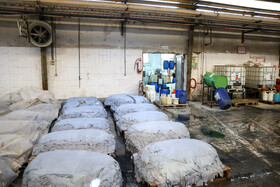 قبل از مرحله‌ی دباغی، پوست حیوانات را از هر گونه کثیفی، گوشت، چربی و نمک نگهدارنده پاک می‌کنند.